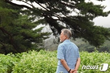 文 전 대통령 메밀꽃이 피었습니다