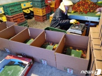 [귀거래사] 사표쓰고 농사짓겠다는 아들에게…아버지 1년내 쉬지도 못해