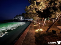 해송과 서해 낙조 일품…고창 구시포·동호 해수욕장 8일 개장