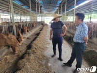 합천황토한우, 올 상반기 최고 경락단가 기록…kg당 3만8380원