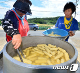 옥수수 잘 익었네