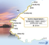 [신용석레인저가떴다] 세월의 나이테인가, 적벽강…연보랏빛 꽃 향연, 변산향유