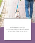 [펫카드]폭염에 맨발로 산책해보면 강아지 심정 이해할까