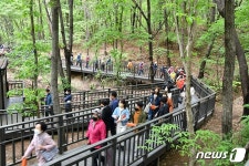 노원구, 2년 연속 걷기실천율 1위 기념 걷기 행사