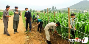 장마 첫 폭우 넘긴 북한… 이번 주 폭우 예보에 대책 마련 분주