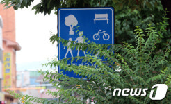 나뭇가지에 가려버린 보행자우선도로 표시판