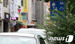 나뭇가지에 가려 보이지 않네