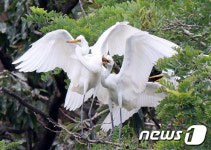 둥지 떠날 준비 됐어요