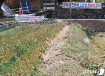 우파 삼촌 처벌 호소 평산마을 박씨 안정권도 누나 믿고 욕하나 싶더라