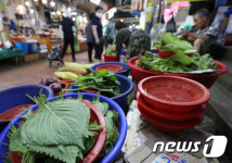 상추 대신 깻잎?