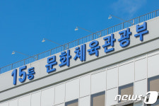 故박송희법 시행…중대사고 발생시 공연장운영자 보고 의무화