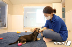 서초구 여름휴가철 반려견 안전하게 돌봐 드려요