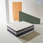 [단독]"에일레만 찾네"…씰리침대 베스트셀러 3종 가격 7.4%인상