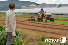 올해는 뭘 심을까