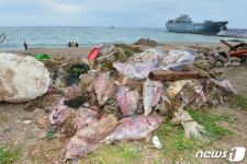 참치에게 무슨 일이