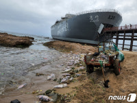 해변 뒤덮은 수천마리 참치 사체…영덕 장사해수욕장에 무슨 일?