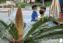 행운의 꽃 피어난 아파트