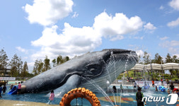 도심에 나타난 고래!  폭염을 날려버려∼
