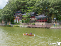 교통편이 힘들지만, 애써서라도 지금 합천에 가야 하는 이유
