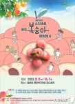 순천 월등복숭아 체험행사 6~7일 월등면행정복지센터 광장서