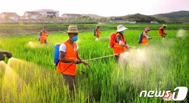 밀 농사에 박차 가하는 북한…더욱 대담하고 통 크게