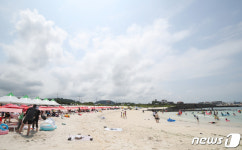 무더운 제주, 해수욕이 제격