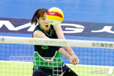 여자 배구대표팀, 대체 선수로 황민경·박혜민·유서연 등 발탁