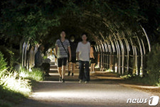 "저수지라도 보면 시원해질까"…12일째 잠 못 이루는 광주