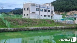 낙동강 녹조, 논밭 대거 유입…양산 원동 일대 농민들 농사 어쩌나