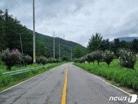 무궁화 도시 진천군, 충북 무궁화 품평회서 호평