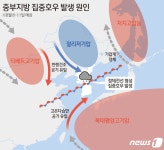 서산 233.5㎜ 충남 폭우 피해 잇따라…11일 오전 124건 접수