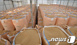 농협 비축 쌀 재고 넘치고 양곡창고는 노후화…햅쌀 수용 한계