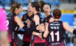 김세인 22득점 한국도로공사, 디펜딩 챔피언 현대건설 제압…2연승(종합)