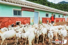 북한, 젖가공 설비·염소 목장 건설하며 육아 정책 관철 주력