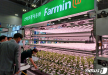 도시농업에 최적화 고밀도 스마트팜 자동화 재배기 눈길