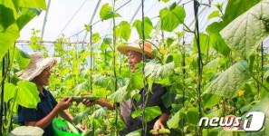 노동신문, 모범 사업장 황해북도체신관리국 소개