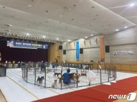 노원구청 대강당이 애견 호텔로…추석 연휴 반려견 쉼터 운영