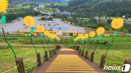 해바라기 조형물 500개로 장성댐에 바람개비 언덕
