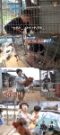 율희 아버지, 토종닭 잡으라는 말에 치킨 시켜먹으면 안 돼?