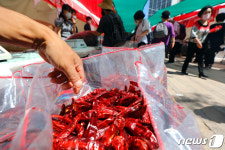 영양고추 매운 맛, 서울로…시청광장서 사흘간 영양고추 핫 페스티벌
