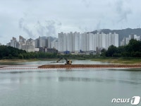 새끼 수달 하수구에 행차…충주 시민 반갑고 안타까워