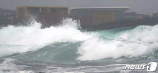 벌써 거세진 파도