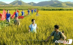 가을걷이 다그치는 북한 농촌… 애국 열의 고조