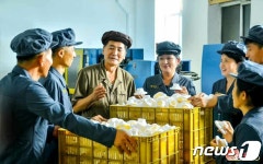 생산적 앙양 불러일으키는 北 평양건재공장 일꾼