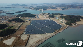 올해 신안 염전 100곳 가까이 폐업…그 자리엔 태양광시설