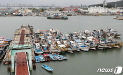 피항 어선들로 가득한 연안부두