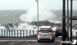 원전 멈추고, 대피소 가던 70대 급류에…힌남노 피해 속출(전국종합3보)