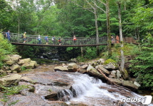 [신용석레인저가떴다] 하늘 아래 맞닿은 거대 습지…4500살 용늪 속으로