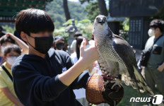 대전 이사동에서 즐기는 매 사냥 체험 프로그램