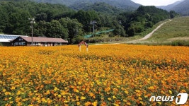 가을 느낌 물씬 풍기는 무주 덕유산 리조트